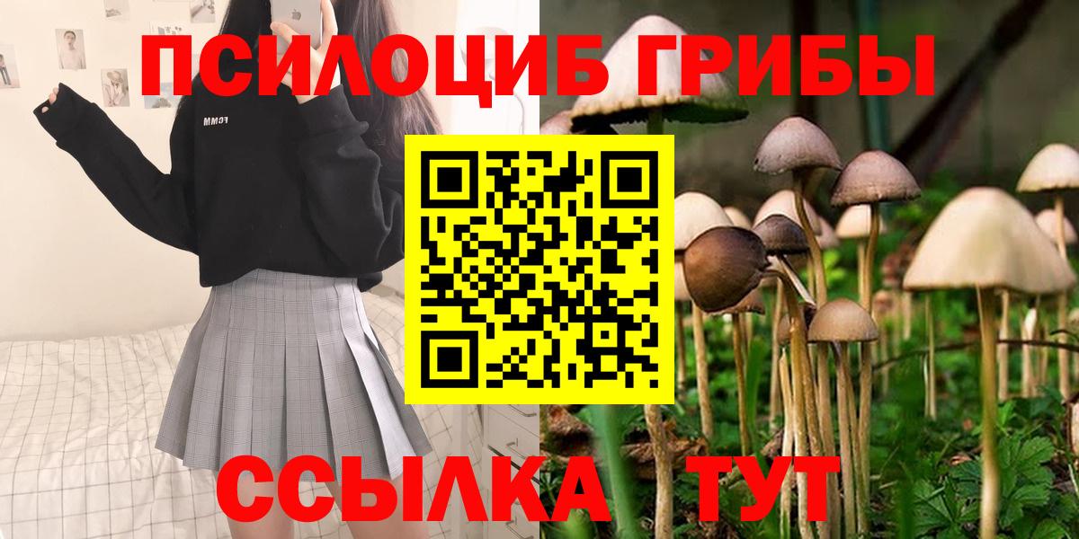 Псилоцибиновые грибы Psilocybe Железноводск
