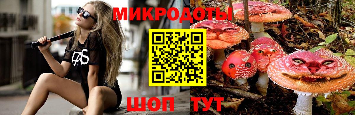 Галлюциногенные грибы Magic Shrooms  Вход с VPN  Галлюциногенные грибы GOLDEN TEACHER  Железноводск 